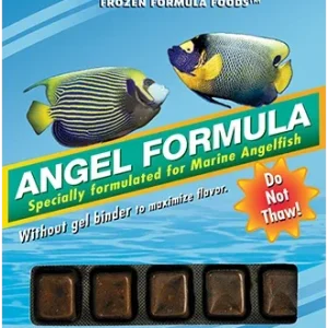 Ocean Nutrition - Angel Formula