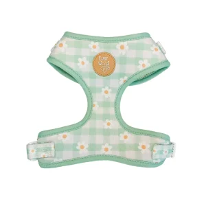 Oopsie Daisy! Adjustable Harness