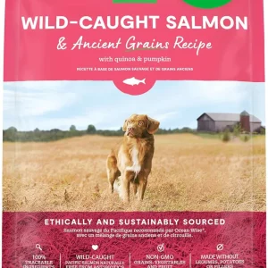 Open Farm Wild-Caught Salmon & Ancient Grains Dry Dog Food, 4 lb