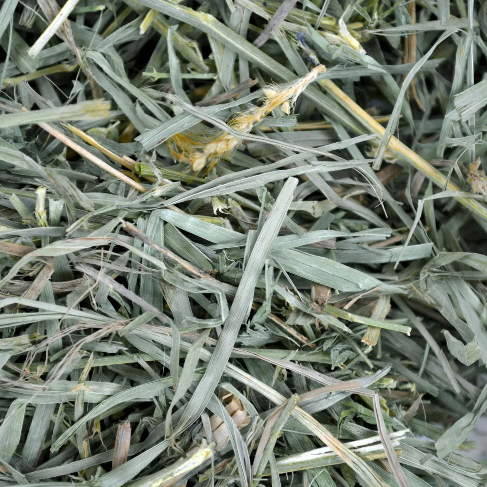 Organic Meadow Hay - 40 oz. - Image 2