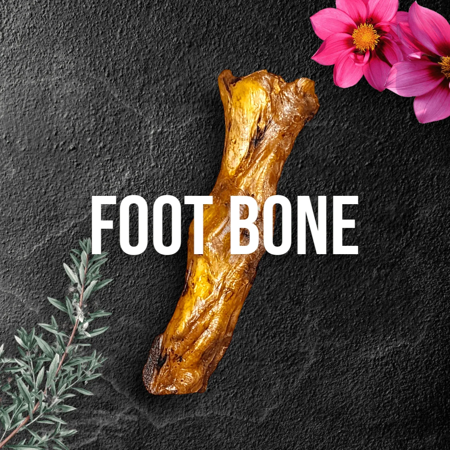 Ostrich Foot Bone (7" x 3.5"): The Flavorful & Long - Image 2