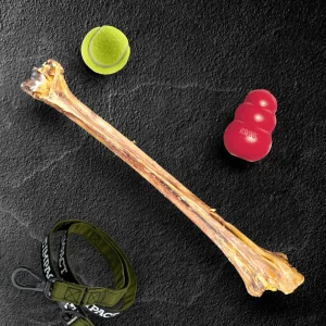 Ostrich Long Bone (19" x 3.5"): The Ultimate Challenge for Medium, Large & Extra