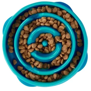 Outward Hound Fun/Slow Feeder for Dogs (Teal)