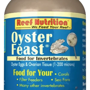 Oyster Feast