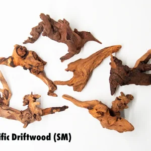 Pacific Driftwood (Dry)