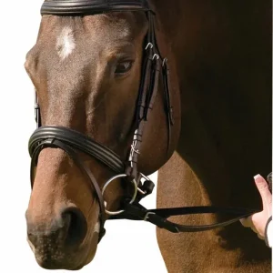 Padded Dressage Bridle with Crank Flash Noseband - Raised Leather Bridle with Web Reins