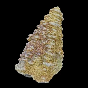 Pagoda Calcite w/ Rainbow Pyrite