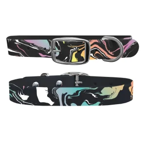 Paint Spill Dog Collar