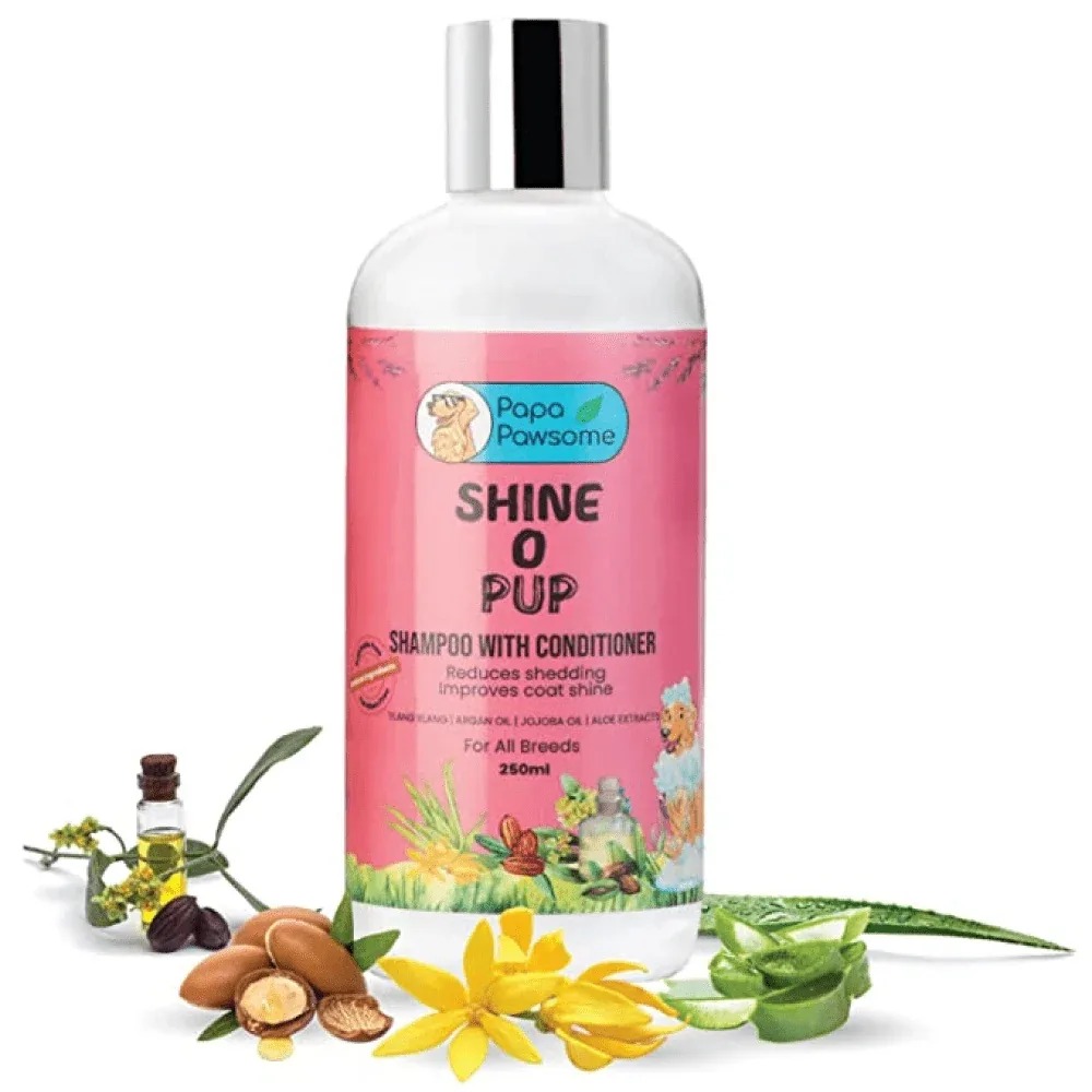 Papa Pawsome Shine O' Pup Tear Free Shampoo with Conditioner for Dogs - Image 2