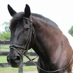 Patent Leather Horse Bridle - Padded Monocrownpiece Bridle with Flash Noseband and Rubber Reins