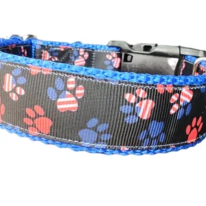 Patriotic Paws Nylon Dog Collar