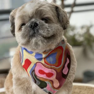 Pawgypets Bandana for Dogs and Cats (Multi Color)