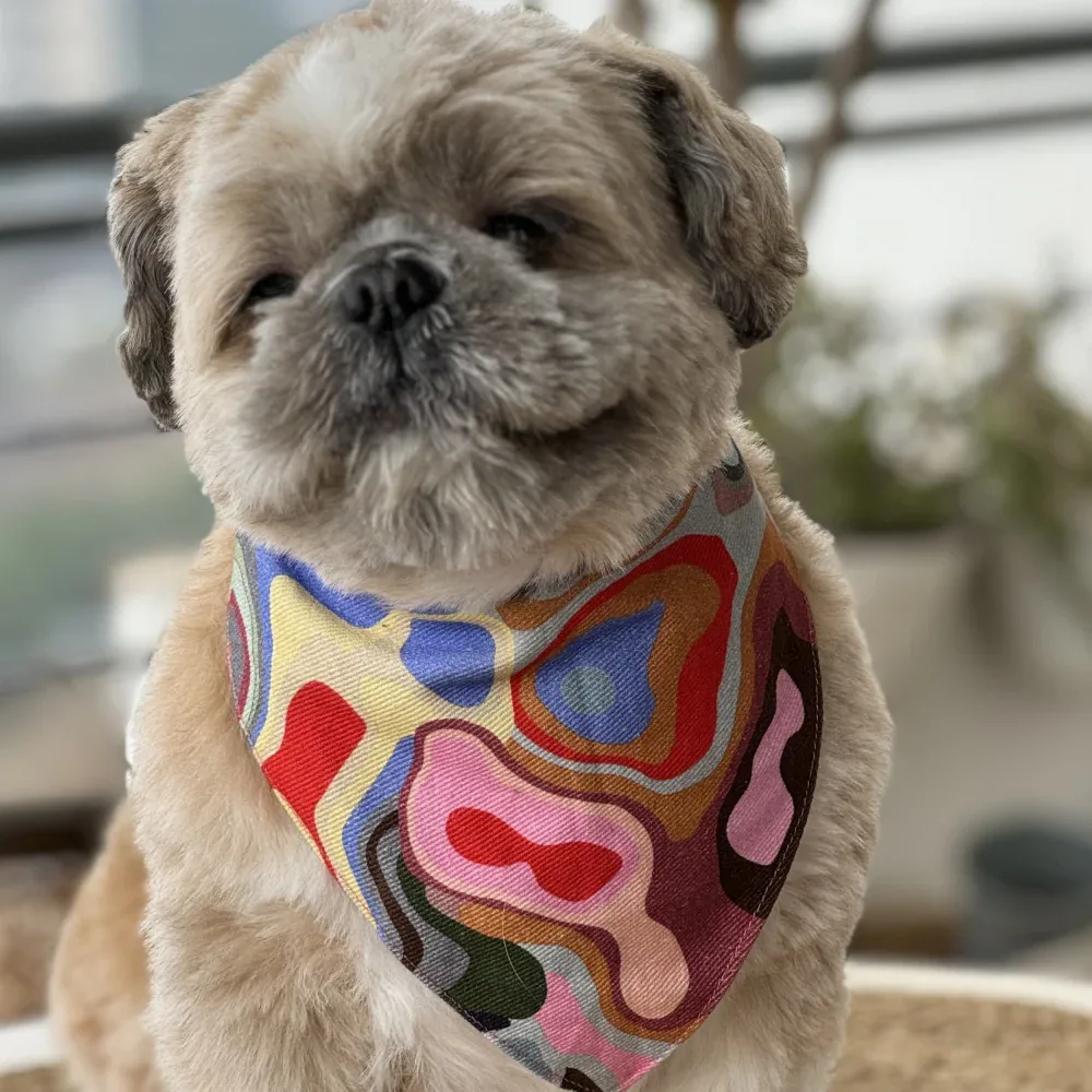 Pawgypets Bandana for Dogs and Cats (Multi Color)
