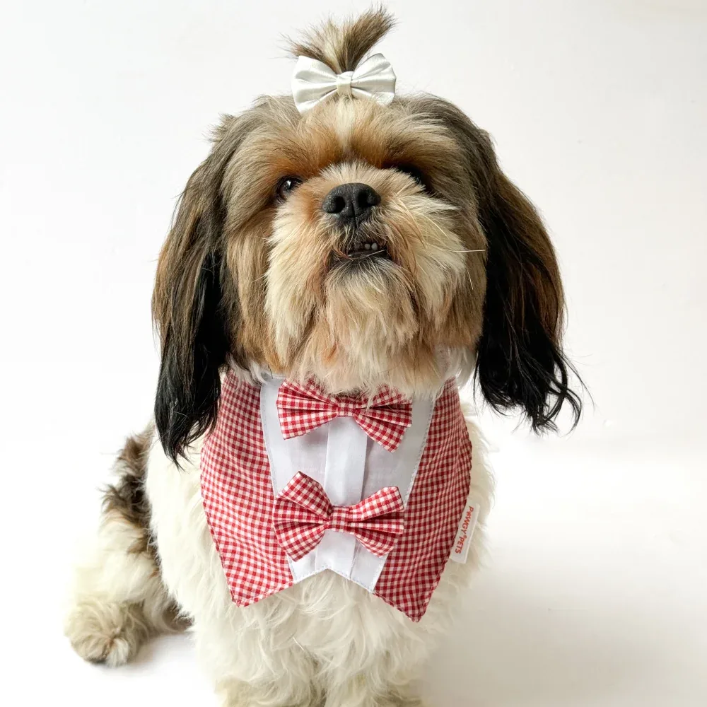 Pawgypets Casual Check Bandana for Dogs and Cats (Red)