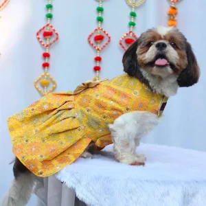 Pawgypets Festive Patola Dress for Dogs (Yellow)