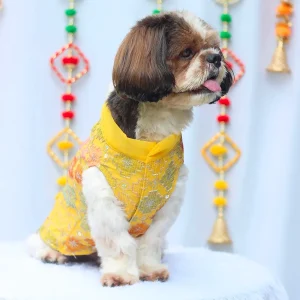 Pawgypets Festive Patola Kurta for Dogs (Yellow)
