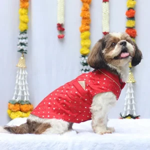 Pawgypets Festive Shahi Kurta for Dogs (Red)