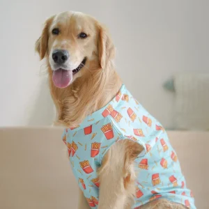 Pawgypets Fries Over Guys Sando for Dogs (Blue)