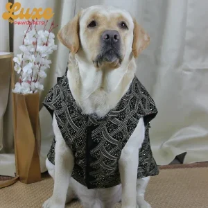 Pawgypets Luxe Embroidered Velvet Sherwani for Dogs and Cats (Black)