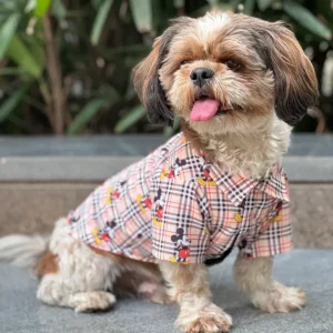 Pawgypets Mickey Check Shirt for Dogs (Beige)