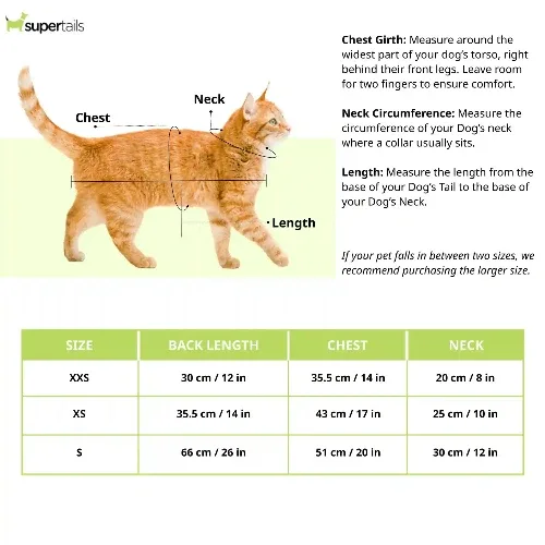 Pawgypets Mickey Overloaded Sando for Cats (Pastel Green) - Image 2