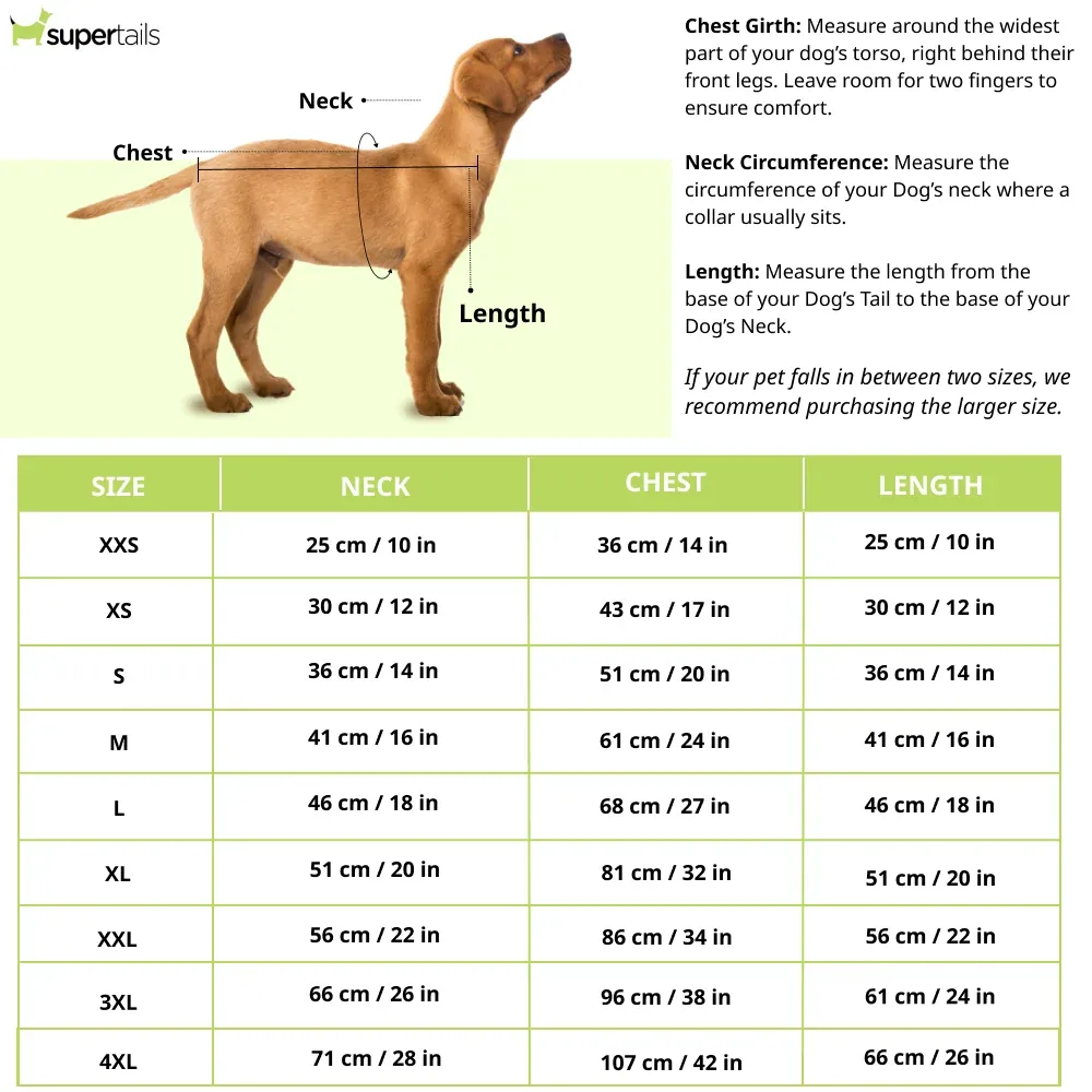 Pawgypets Mickey Overloaded Sando for Dogs (Pastel Green) - Image 2