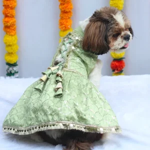 Pawgypets Shahi Lehengas Dress for Dogs (Pastel Green)