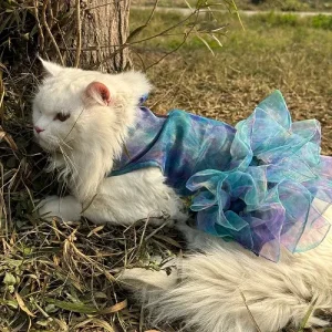 Pawgypets Tie and Dye Frilly Dress for Cats (Blue)