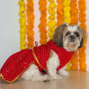 Pawgypets Velvet Lehenga for Dogs and Cats (Red)