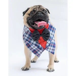 Pawgypets Waistcoat Bandana for Dogs and Cats (Blue)