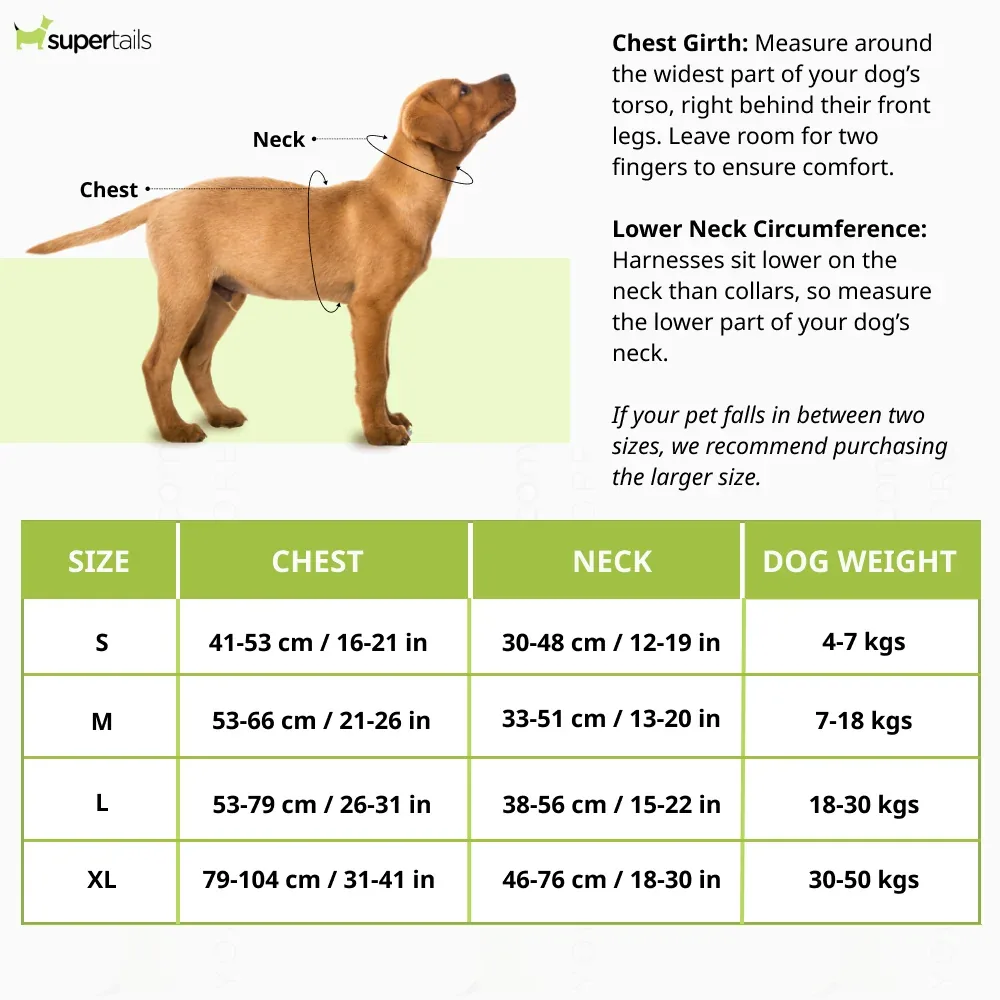 Pawpourri Adjustable Reflective Padded Harness for Dogs (Yellow) - Image 2