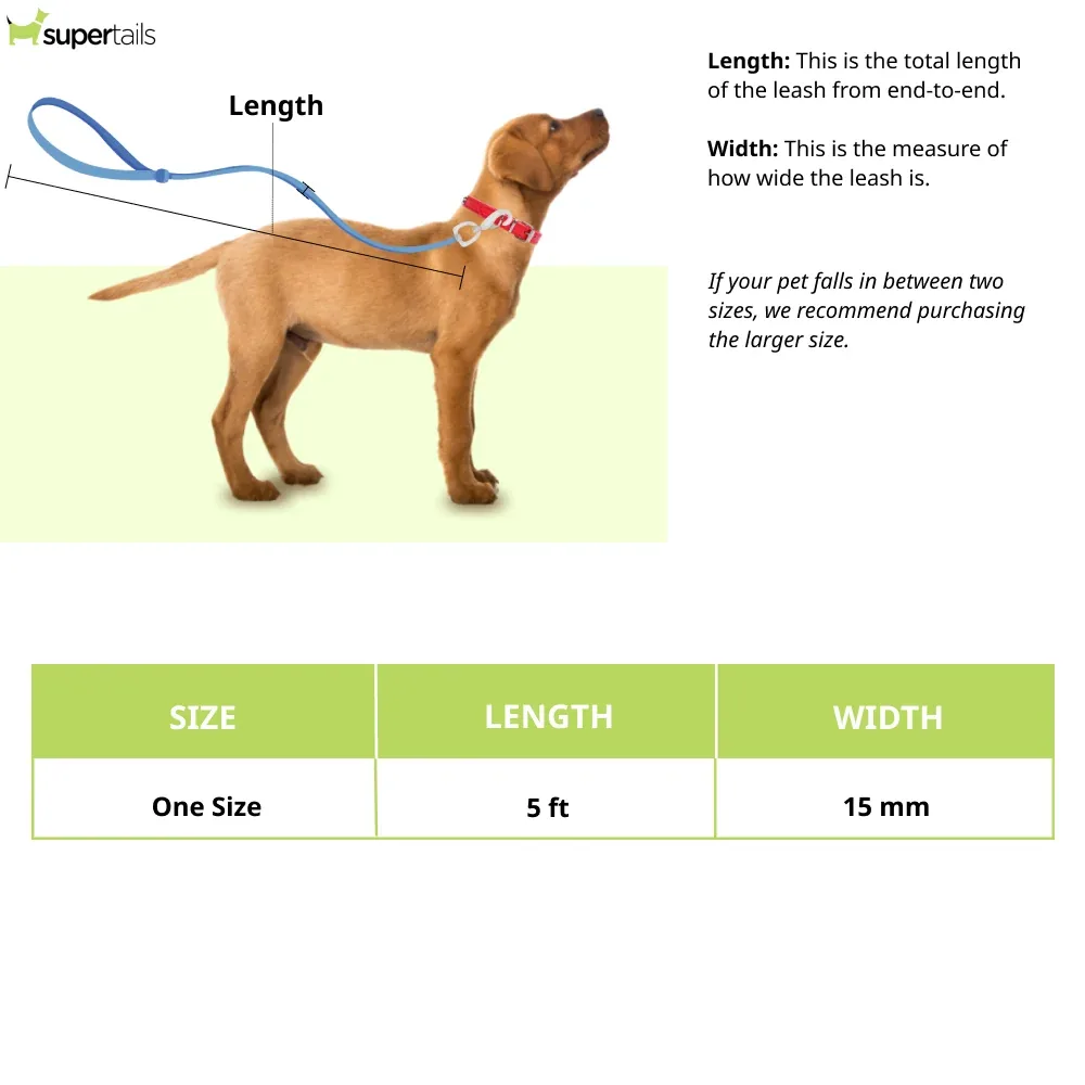 Pawpourri Retractable Leash for Dogs (Grey) - Image 2
