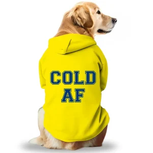 Pawsindia Cold AF Hoodie for Dogs (Yellow)