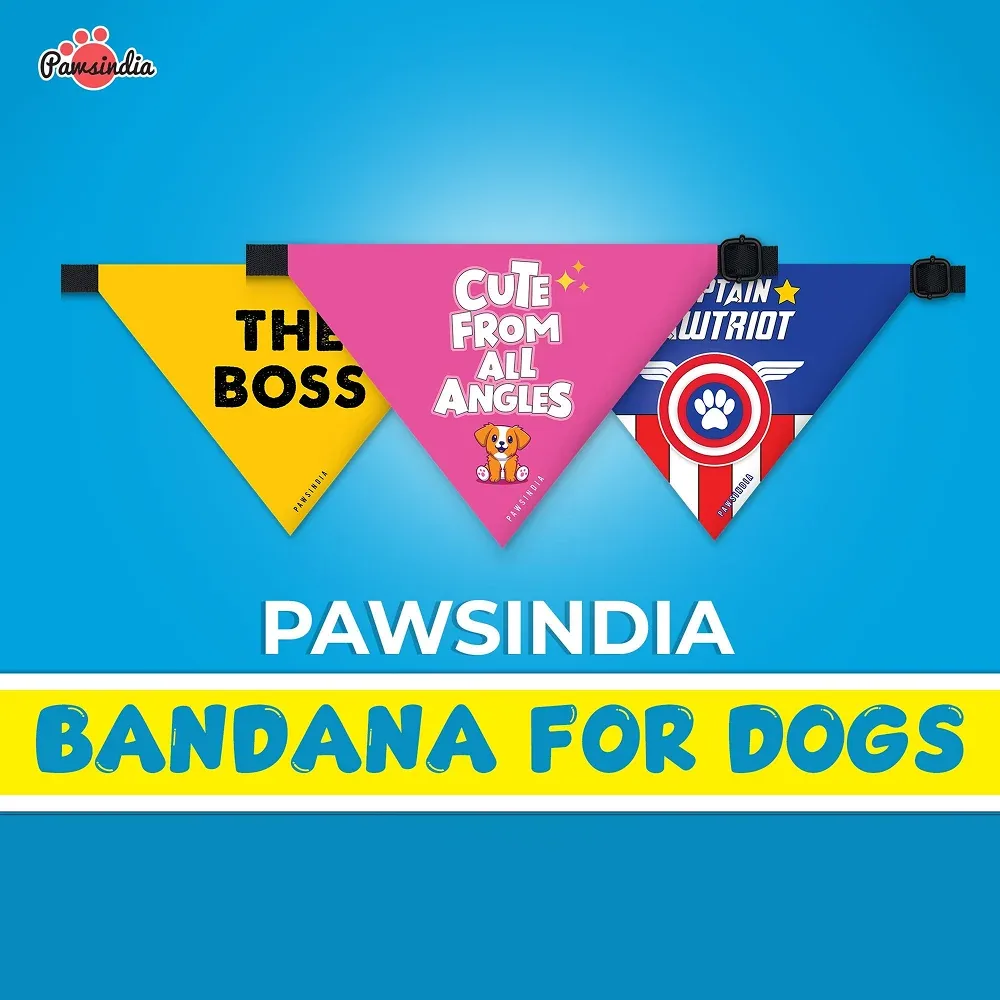 Pawsindia It's My Birthday Bitches Pet Bandana for Dogs and Cats - Image 2