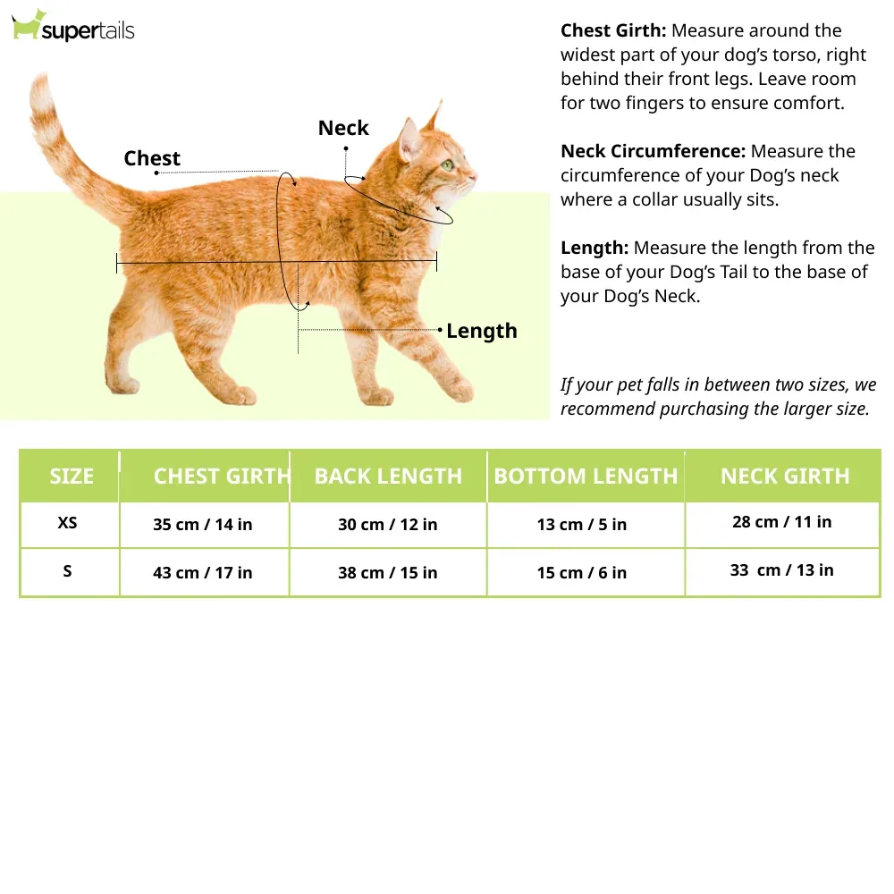 Pawsindia Round Neck Indian Cricket Jersey for Cats - Image 2