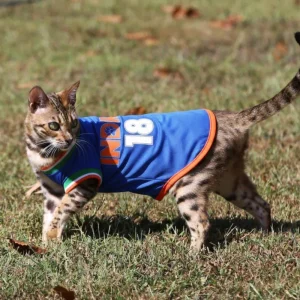 Pawsindia Round Neck Indian Cricket Jersey for Cats
