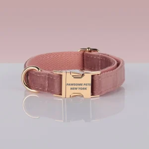 Pawsome Pets Adjustable Nylon Dog Collar #14 - Quick-Release Buckle for Secure Fit