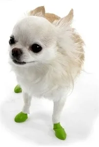 Pawz Dog Boots Apple Green Tiny
