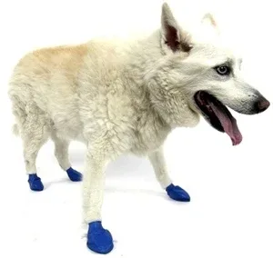 Pawz Dog Boots Blue Medium