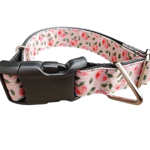 Peach Nylon Dog Collar