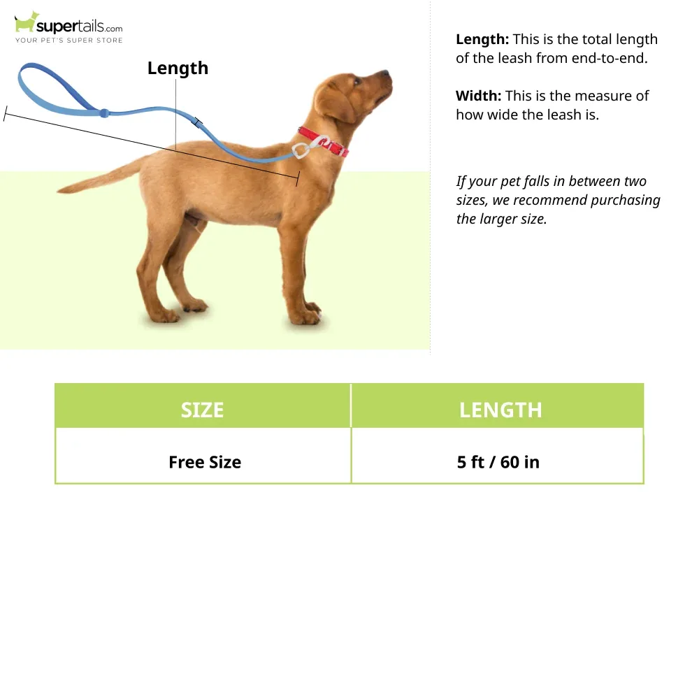 Pet And Parents Floral Graffiti Leash for Dogs - Image 2