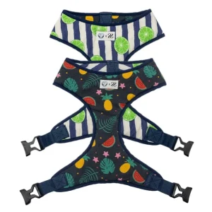 Pet And Parents Fresh Fruit Reversible Harness for Dogs