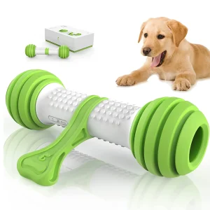 Pet Geek Playbone Toy for Dogs (White/Green)