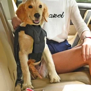 Pet Life Road-To-Safety Dog Car Harness