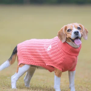 Pet Set Go Cable Knit Sweater for Dogs (Peach)