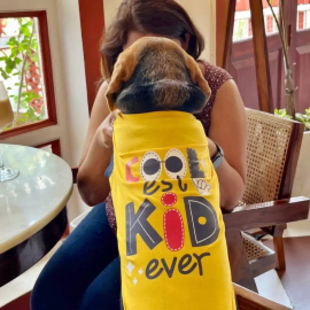 Pet Set Go Coolest Kid Ever Sleeveless T-shirt for Dogs (Yellow) - Image 2