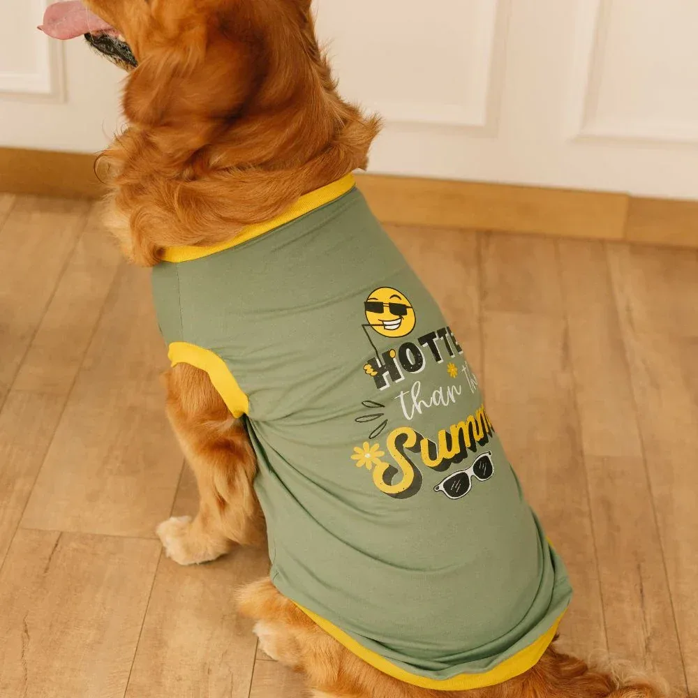 Pet Set Go Hotter Than The Summer Sleeveless T Shirt for Dog (Green) - Image 2