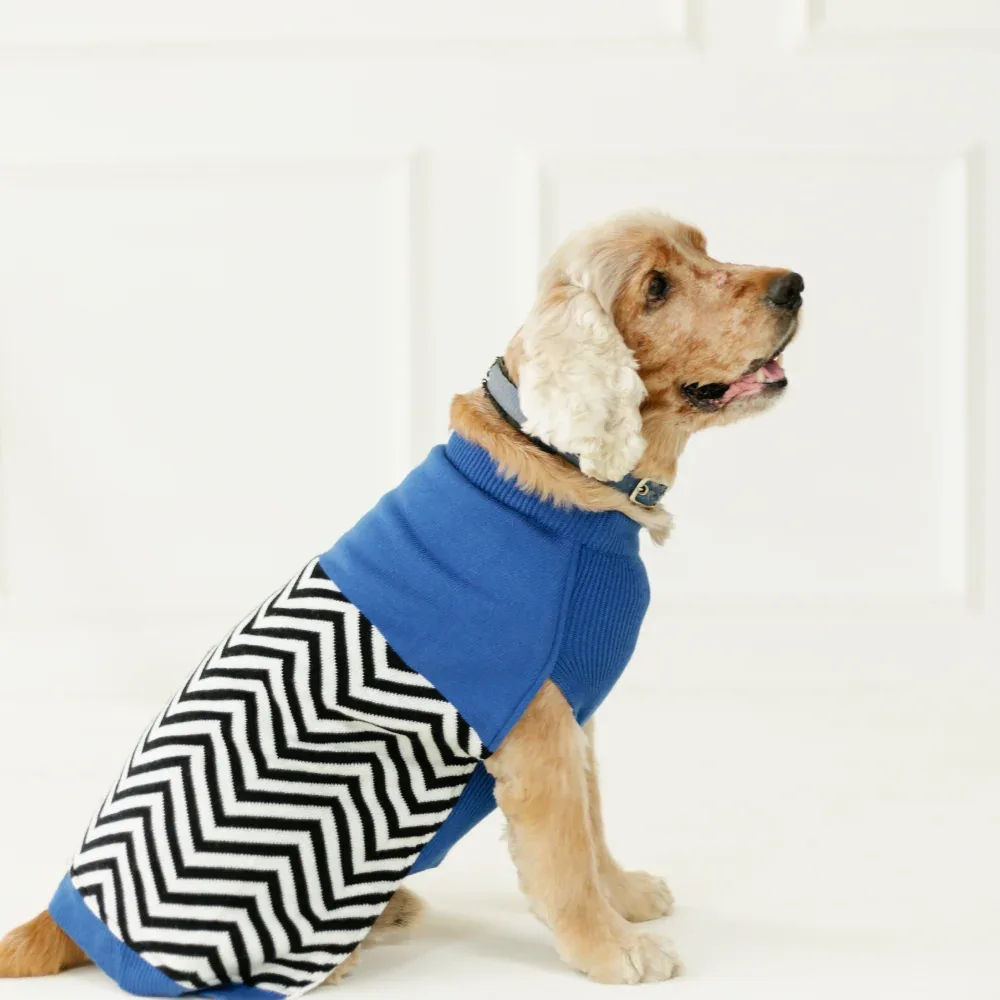 Pet Set Go Raisin’s Sweater for Dogs and Cats (Blue & Black)