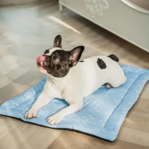 Pet Set Go Sky Bloom Mat for Dogs (Sky Blue)