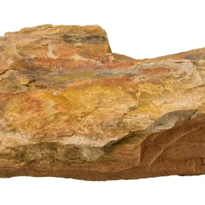 PETRIFIED WOOD